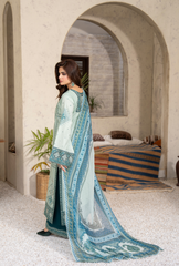 ARCTIC TEAL (KC-1568)